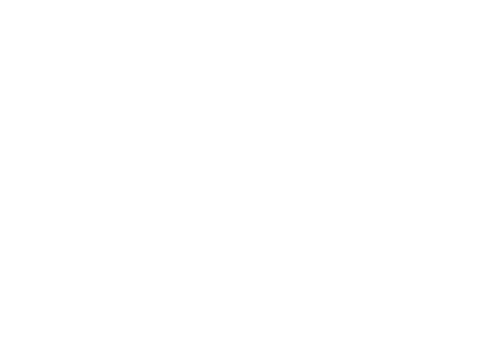 Dynamo Outsourcing